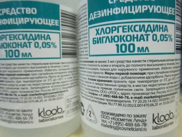 Хламидийный конъюнктивит у кошек