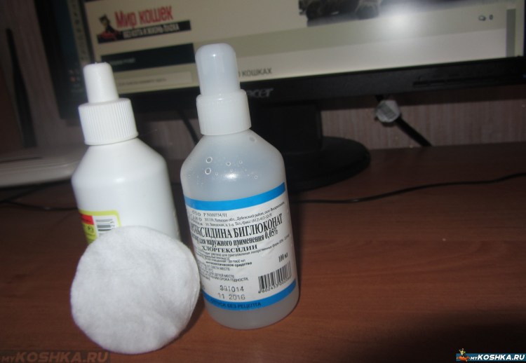 Глазные капли Барс для кошек от коньюктивита