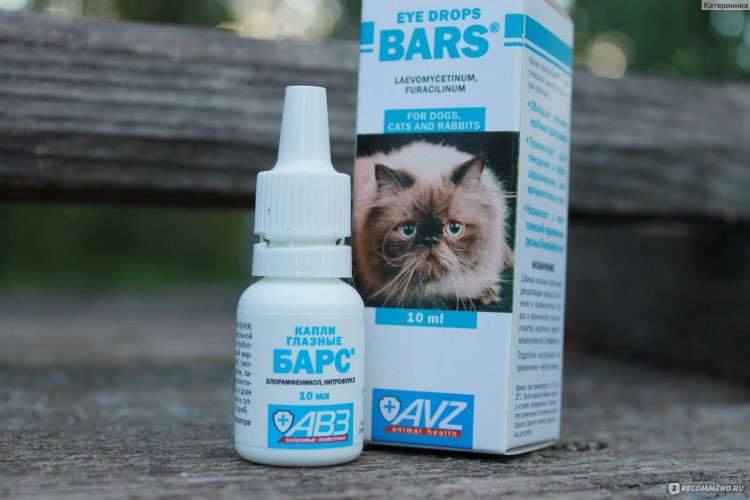 Глазные капли для британских кошек