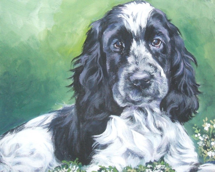 Русский спаниель