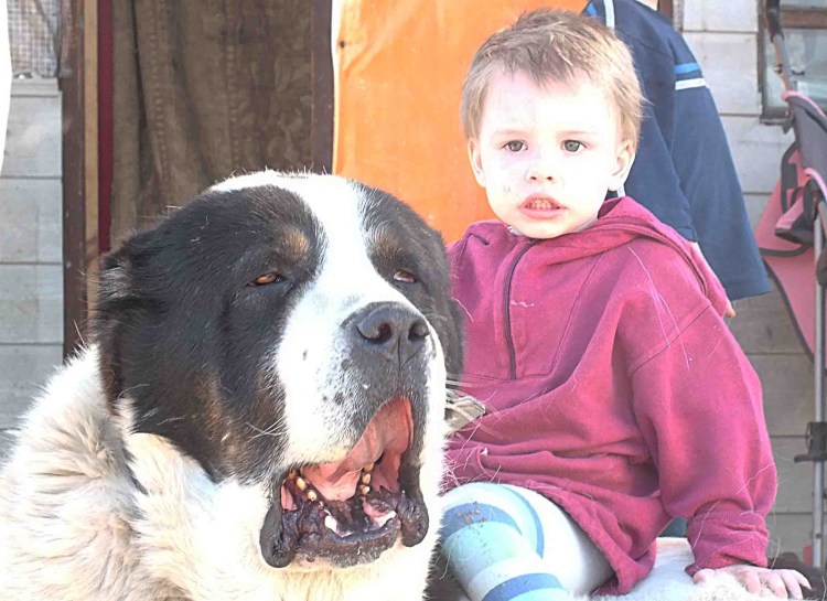 Пастух Азиат