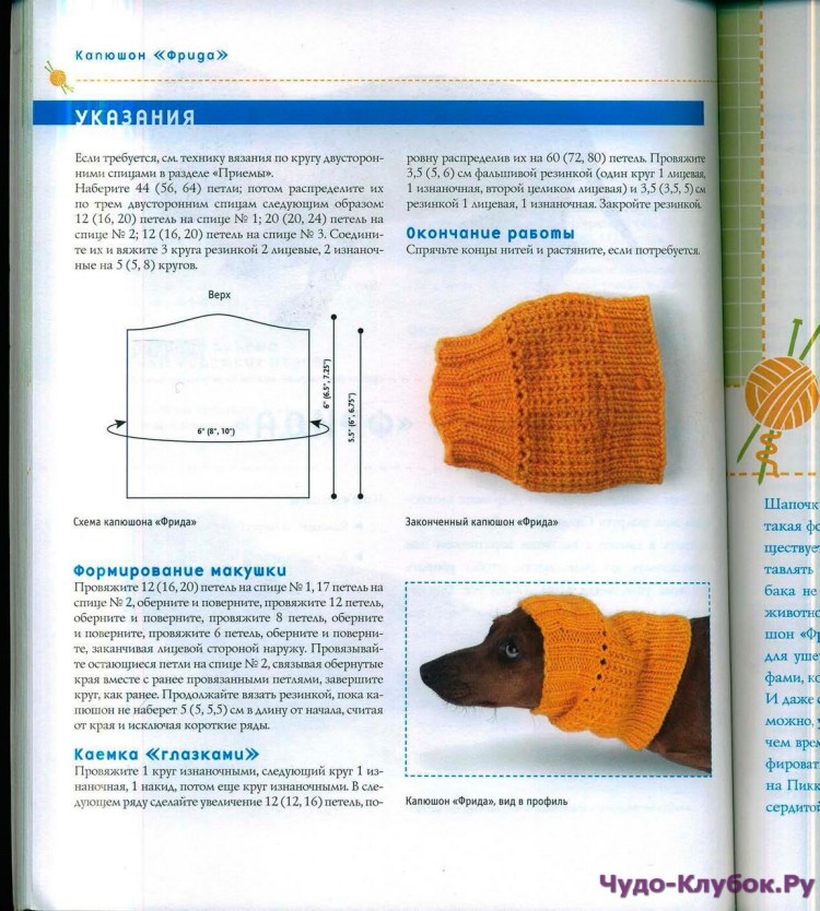 Шапочка-труба для чихуахуа спицами