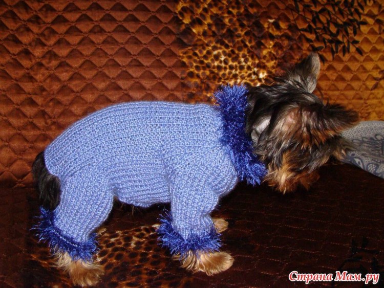 МК комбинезон для собаки спицами