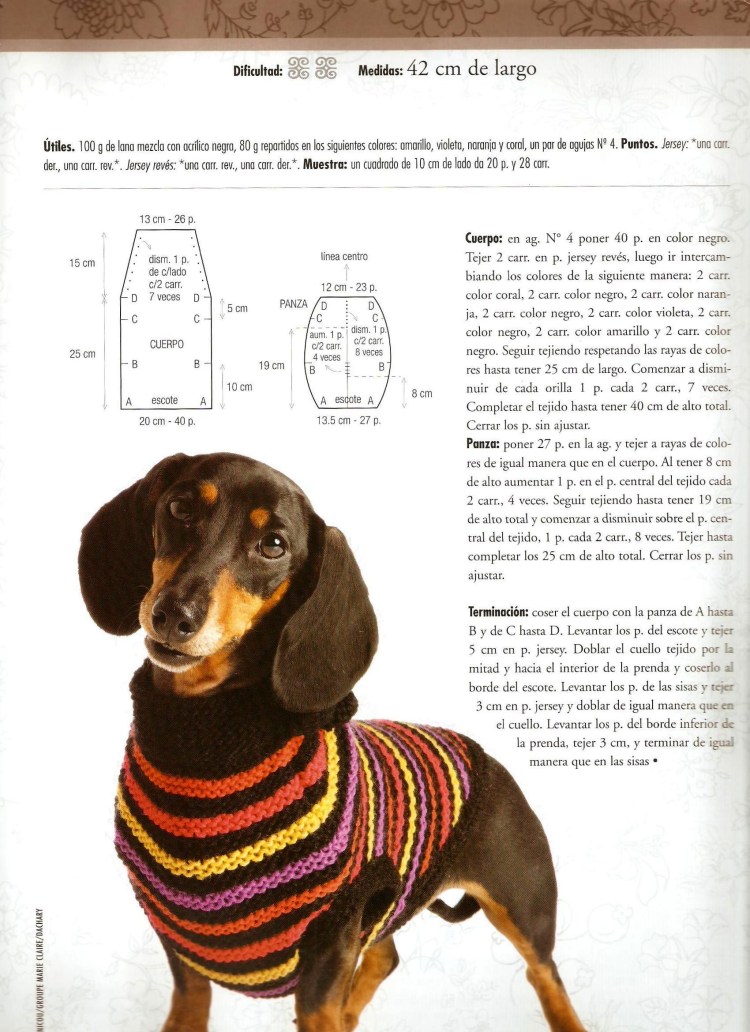 Комбинезон для таксы спицами с описанием и схемами