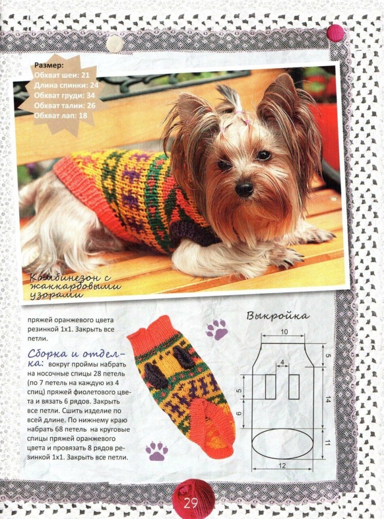 Схемы вязания одежды для йорков