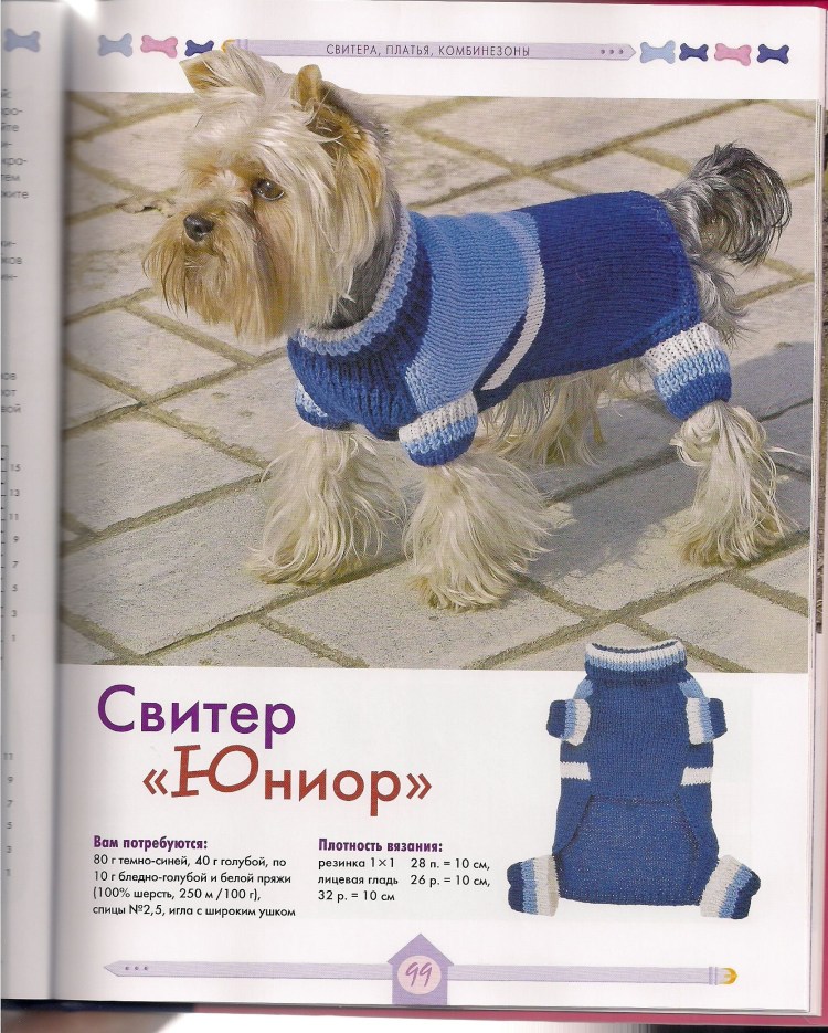 Вязаная одежда для собак спицами для начинающих