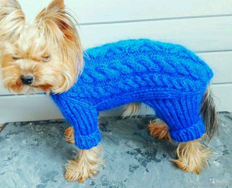 Вязаный комбинезон для собаки