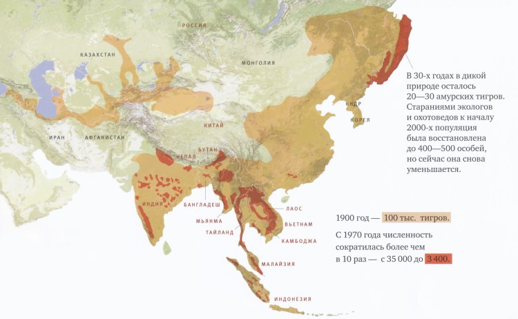 Ареал обитания тигров в мире