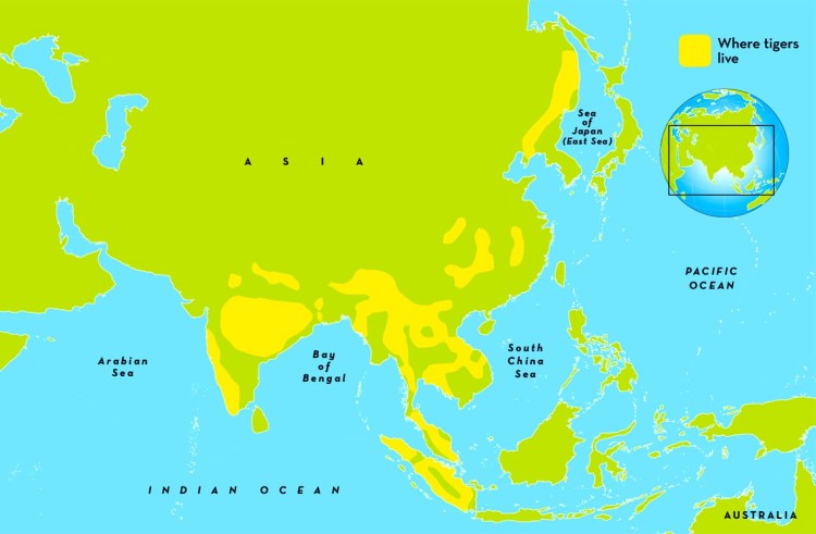 Ареал бенгальского тигра