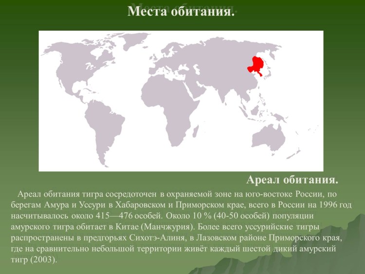 Амурский тигр ареал обитания на карте России