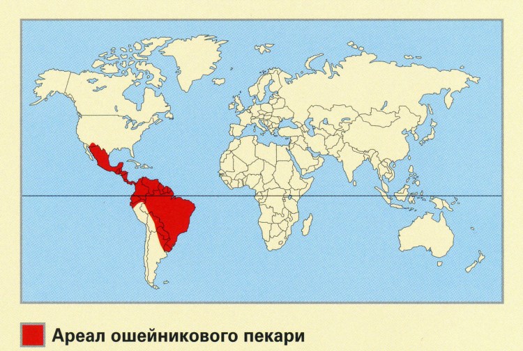 Муравьед ареал обитания