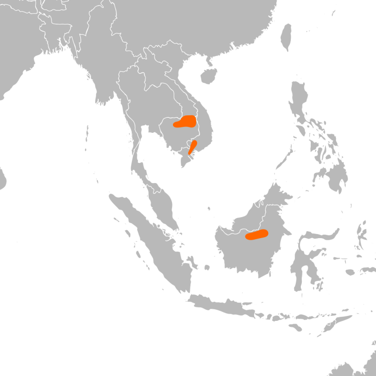 Panthera Tigris ареал