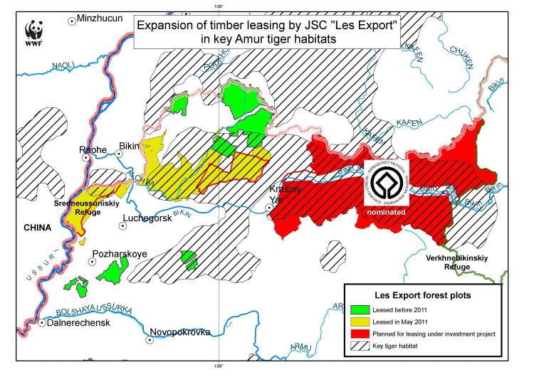 Ареал обитания Амурского тигра в Амурской области
