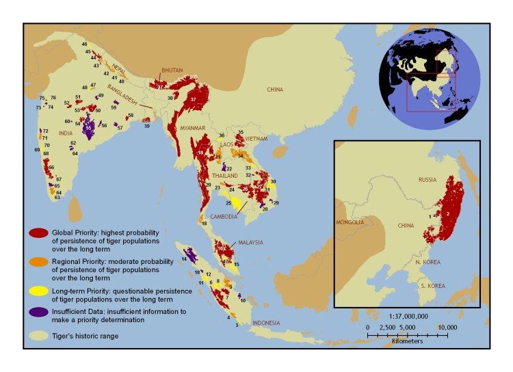 Карта обитания тигров в мире
