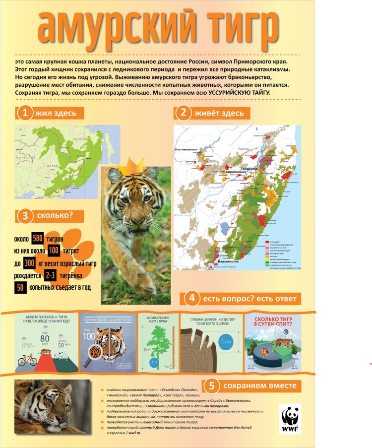 Китайский тигр ареал