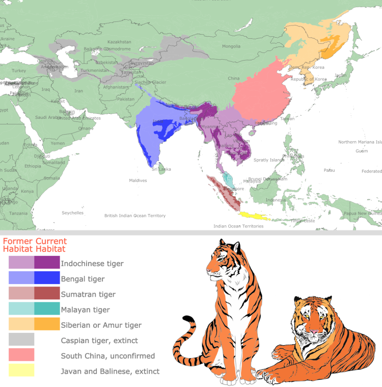 Тигр ареал обитания