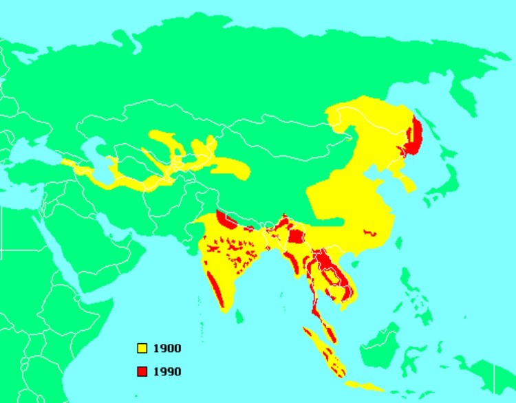 Ареал обитания тигров в мире