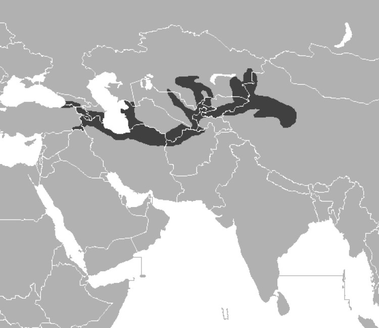 Туранский тигр ареал обитания