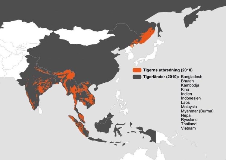 Туранский тигр ареал обитания