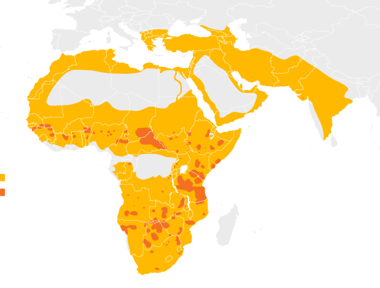 Место обитания Уссурийского тигра